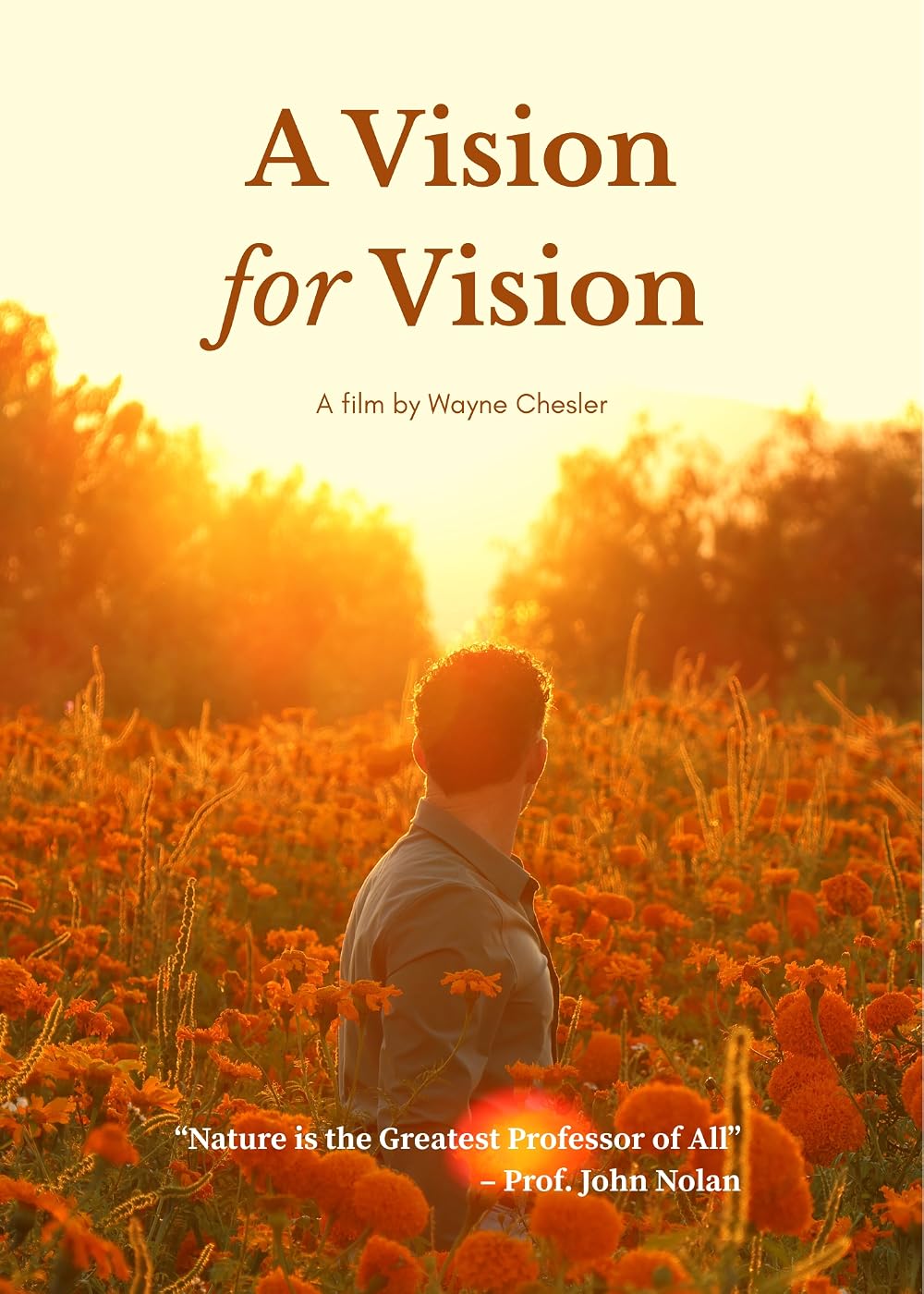 Signature Eye Care Vision for Vision